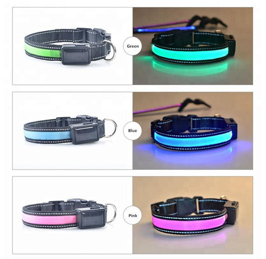 Collar perros luminosos USB y carga solar